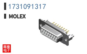 1731091317