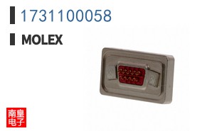 1731100058