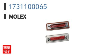 1731100065