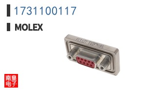 1731100117