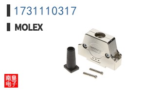 1731110317