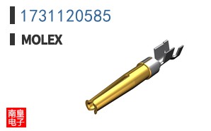1731120585
