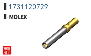 1731120729