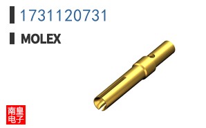 1731120731