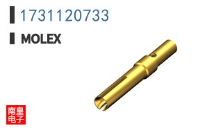 1731120733