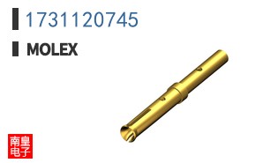1731120745