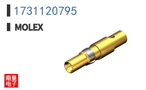 1731120795