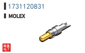 1731120831
