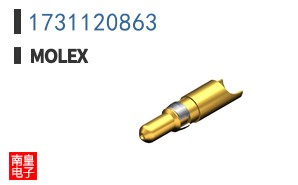 1731120863