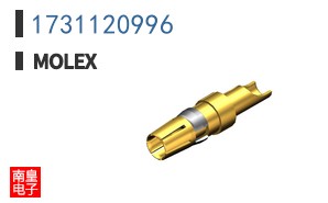 1731120996