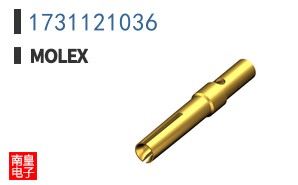 1731121036