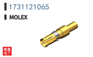 1731121065