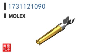 1731121090