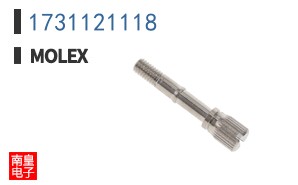 1731121118