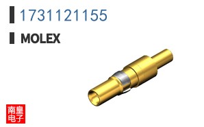 1731121155