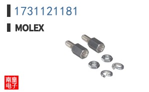 1731121181