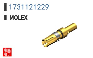 1731121229