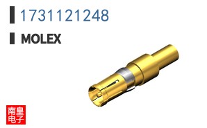 1731121248