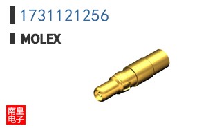 1731121256