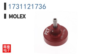 1731121736