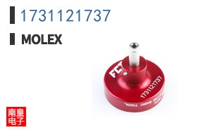 1731121737