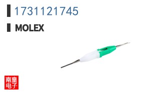 1731121745