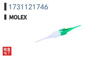 1731121746