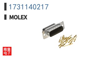 1731140217