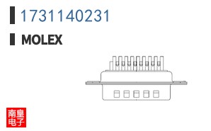 1731140231
