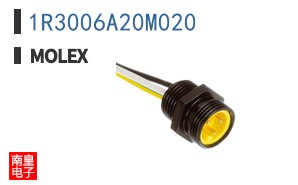 1R3006A20M020