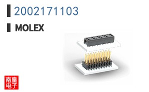 2002171103
