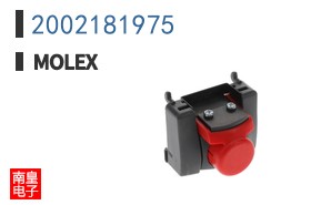 2002181975