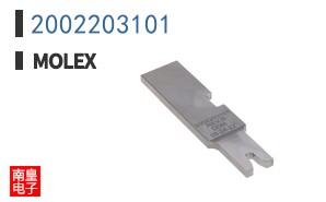 2002203101