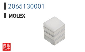 2065130001