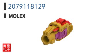 2079118129