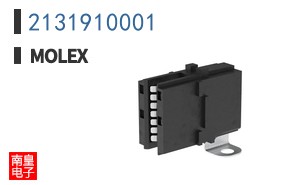 2131910001