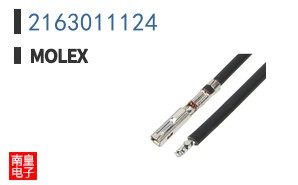 2163011124