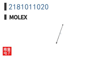 2181011020