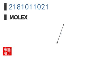 2181011021