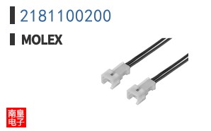 2181100200