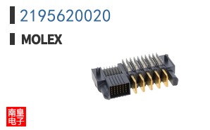 2195620020