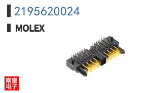 2195620024