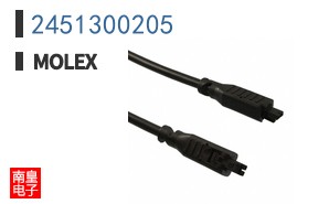 2451300205