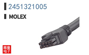 2451321005
