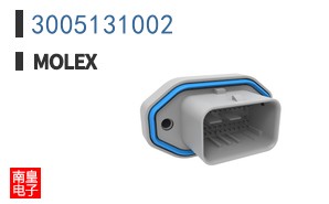 3005131002