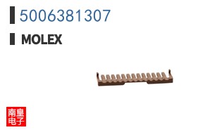 5006381307