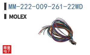 MM-222-009-261-22WD