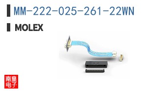 MM-222-025-261-22WN