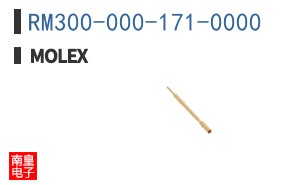 RM300-000-171-0000