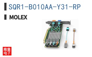 SQR1-B010AA-Y31-RP